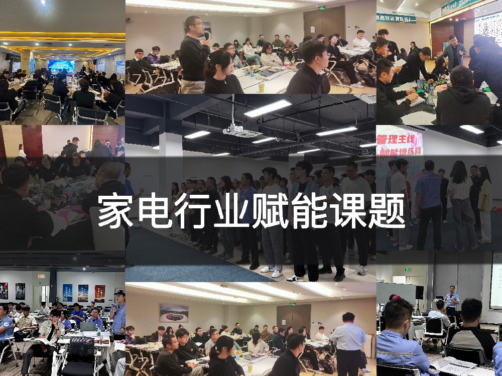 家电行业赋能课题
